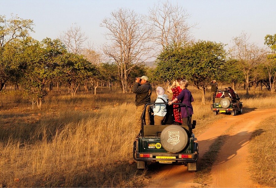 Buffer Zones of Sunderban National Park