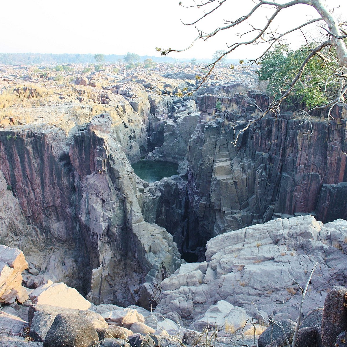 ken gharial sanctuary