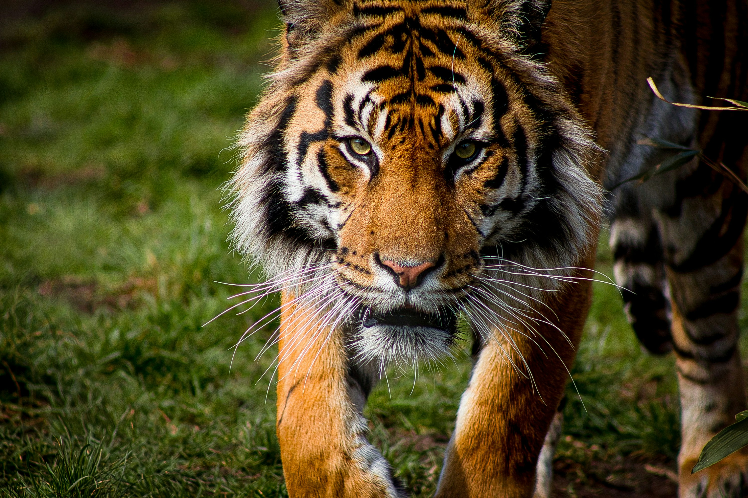 Book 3 Night/4 Days Panna National Park Tour Packages