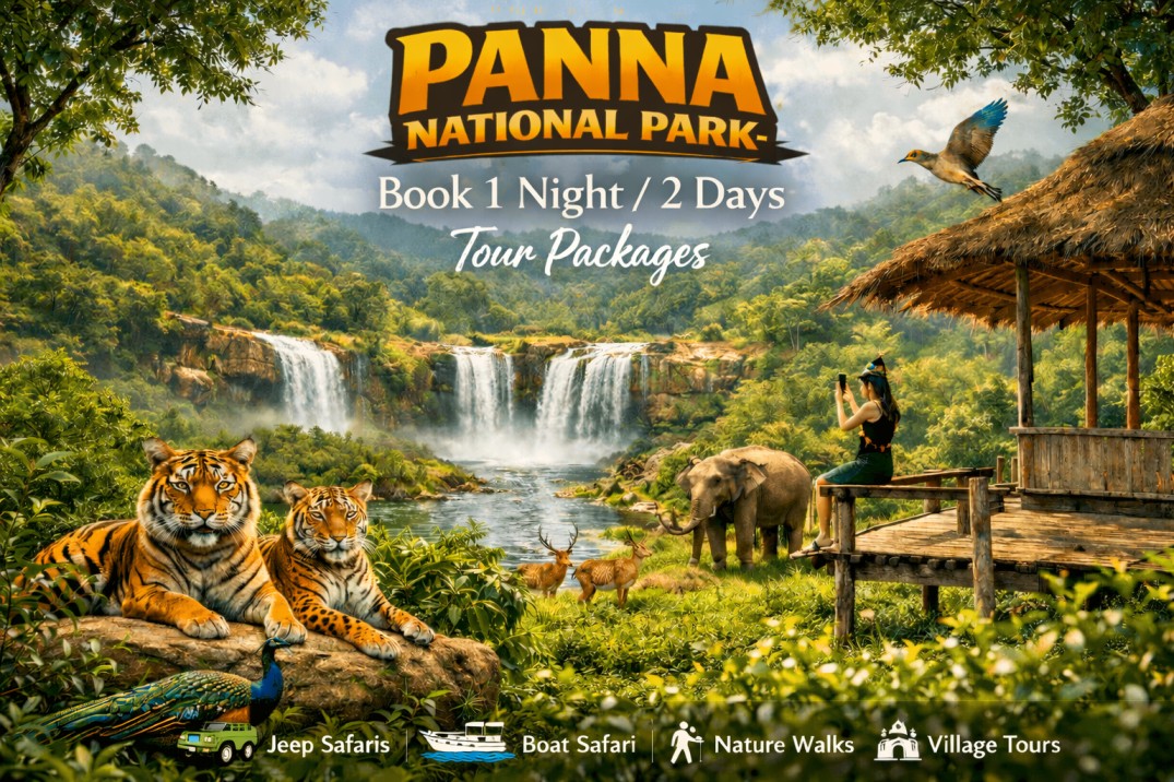 Book 1 Night/2 Days Panna National Park Tour Packages