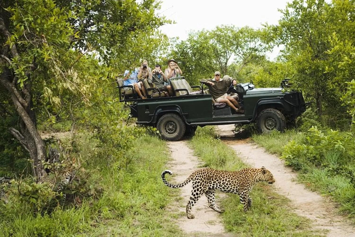 What to Pack For The Perfect Panna National Park Safari Trip