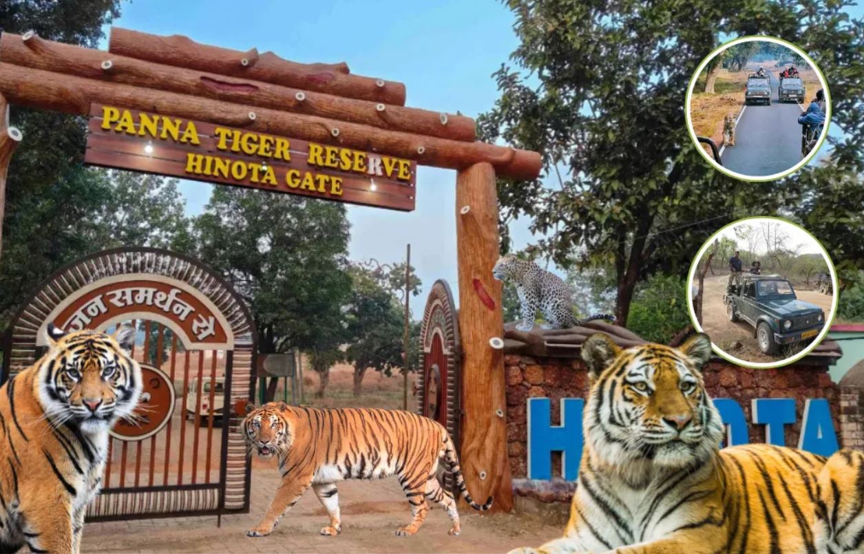 Get A Glimpse Of Local Culture With Panna Jeep Safari Booking