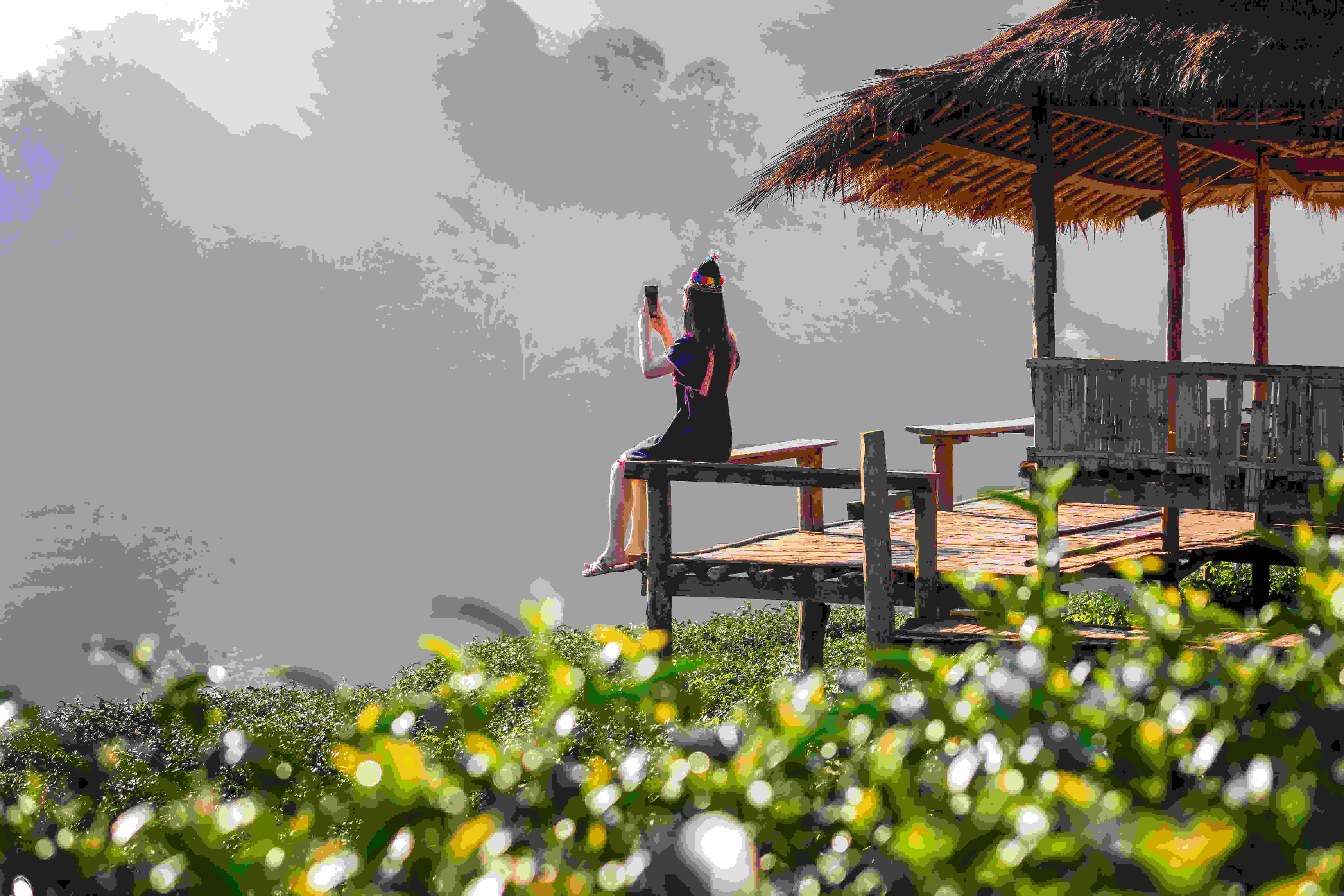 Final Safari Experience